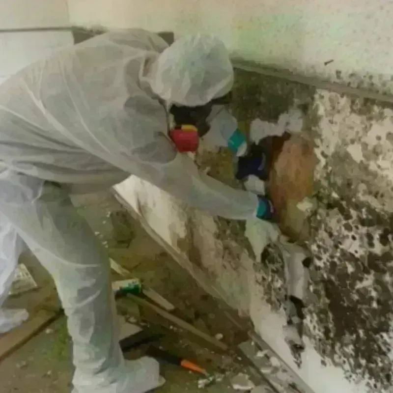 Mold Remediation and Removal in Hanson County, SD